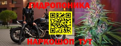 прущий лед Гусев
