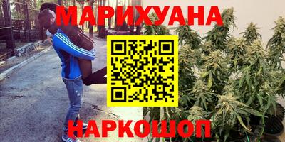 прущий лед Гусев