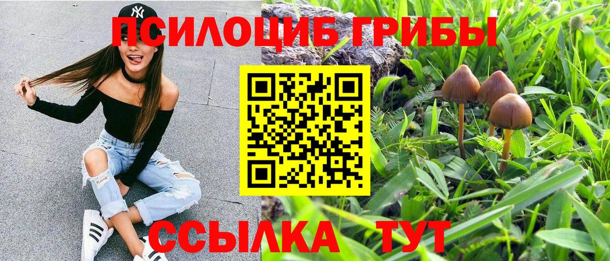 Нурлат  Псилоцибиновые грибы мухоморы  Вход с VPN 