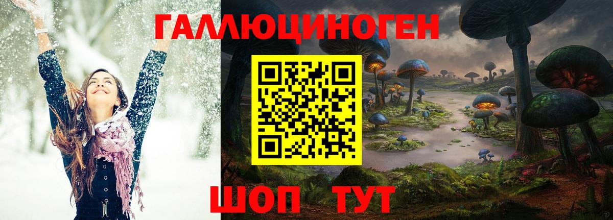 Галлюциногенные грибы Psilocybe Нурлат